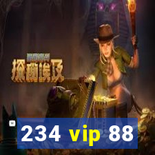 234 vip 88